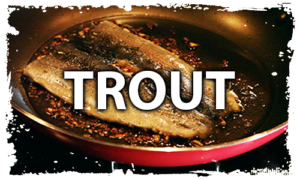 Trout Icon Mountain Top Outdoors Hunt Chef
