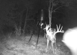 Mountain Top Outdoors Flippin Bucks