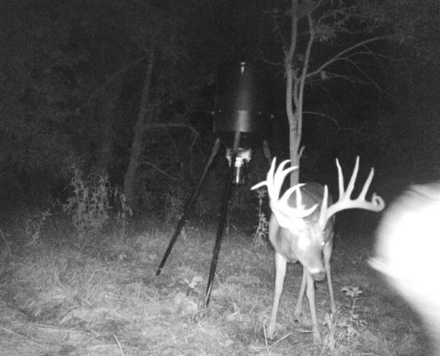 Mountain Top Outdoors Flippin Bucks